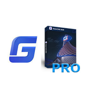 Professional